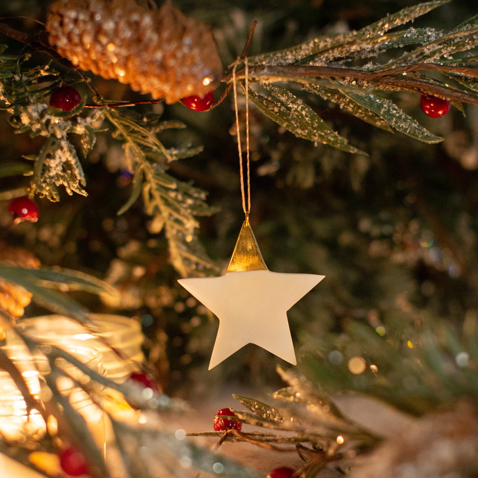 White and Brass Star Ornament